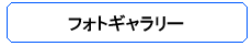 フォトギャラリー